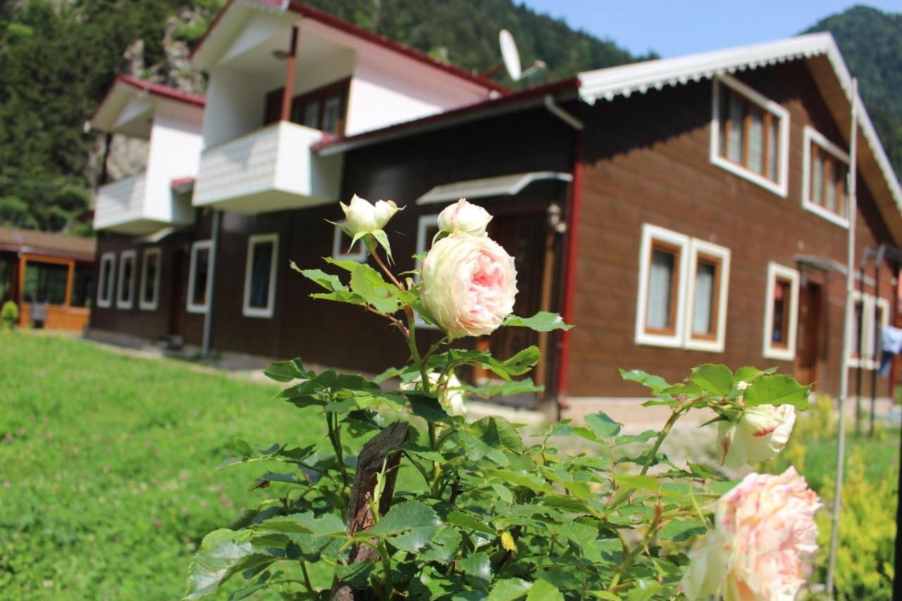 Uzungol Selale Otel Bungalow Exterior foto